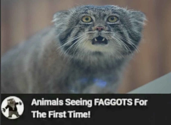 GkFdlQeXwAASblc.jpeg
