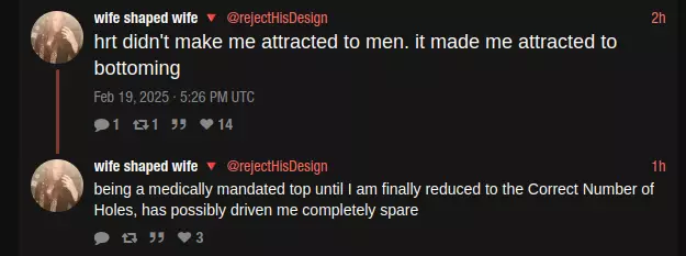 1739993293590.png