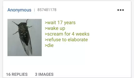 1739995937190.png