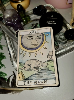 20250219_155426.jpg