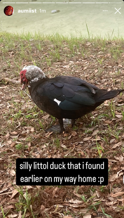 IMG_8556.jpeg