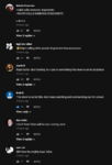 palmer comments.PNG