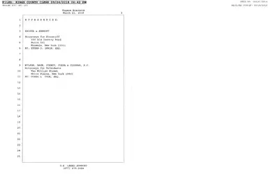 Bisconte Deposition Transcript (2).jpg