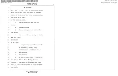 Bisconte Deposition Transcript (5).jpg