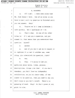 Bisconte Deposition Transcript (45).jpg
