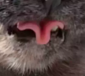 1000015647.png