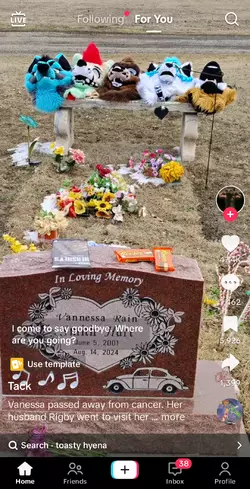 Screenshot_20250220_162114_TikTok.png