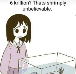 1733164971800916.jpg