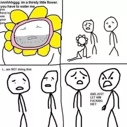 1740078271157.png