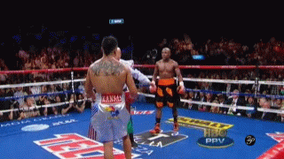 8[1].gif