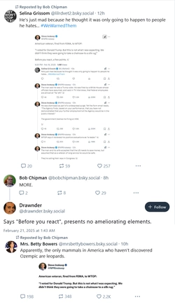 more.jpg