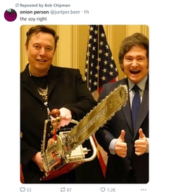 soy.jpg