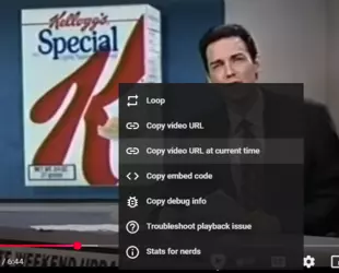copyvideourl.png
