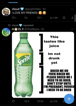 IMG_6711.jpeg
