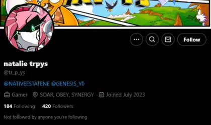 Screenshot 2025-02-20 at 12-22-29 natalie trpys (@tr_p_ys) _ X.png
