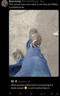 Coon.JPG