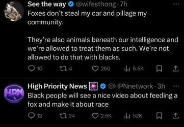 Foxes.JPG