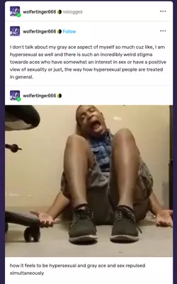 1740186932721.png