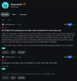 Screenshot 2025-02-03 at 03-49-51 Neprantic (u_Neprantic) - Reddit.png