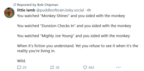 monkeys.jpg