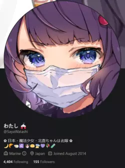 Screenshot 2025-01-20 at 14-34-01 わたし 🎪 (@SayaWatashi) _ Twitter.png