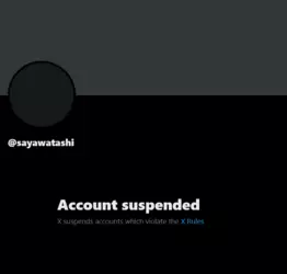 Screenshot 2025-01-20 at 14-15-37 Profile _ X.png