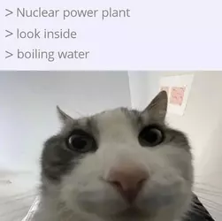 480689366_1024666596362255_501450072008519293_n.jpg