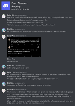 Direct Messages - BittyKitty_page-0001.jpg
