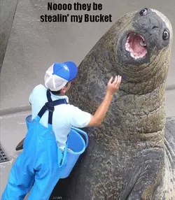 1740241815402.png