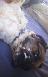 KINDLE_CAMERA_1401711028000.jpg