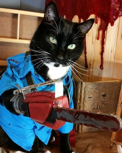 9FFBDEED-C434-45E7-A864-A41BE9A228A8.jpeg