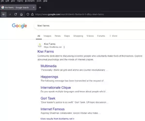 kiwi google.JPG