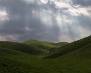 1740306414116.png