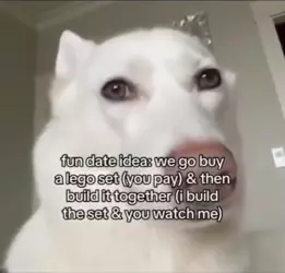 1740337345079.png