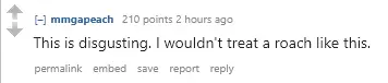 1740349746312.png