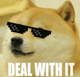 Screenshot_20250223_192001_Chrome.jpg