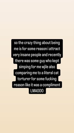 mollygram.com_InstagramStory_52969287947_3574790657416421744.jpeg