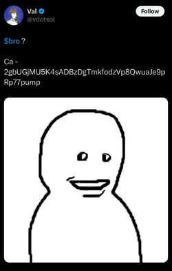 IMG_7582.jpeg