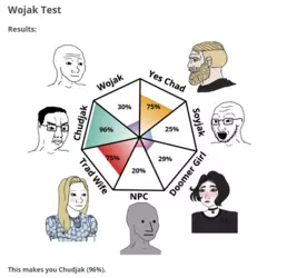Wojak Test.png