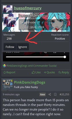 Screenshot_20250224_215053_Chrome.jpg