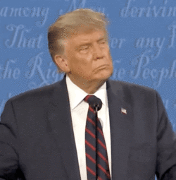 whatever.gif