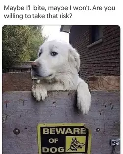 maybe.jpg