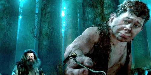 hagrid-and-grawp-harry-potter.jpg