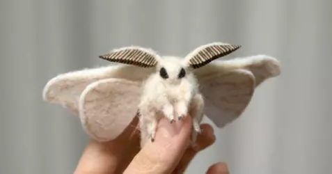 felt moth.png