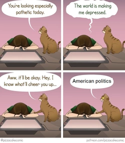 politics.jpg