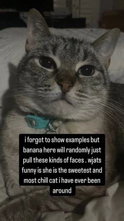 mollygram.com_InstagramStory_52969287947_3576001164934231810.jpeg