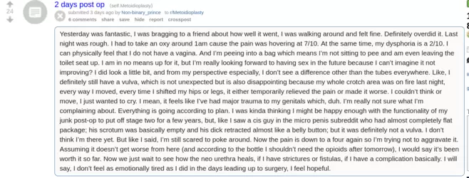 Screenshot 2025-02-25 at 15-50-28 overview for Non-binary_prince.png