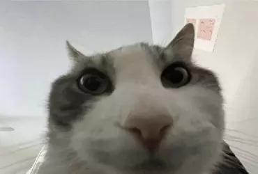 1740526909886.png