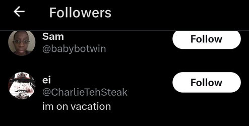 Screenshot_20250226_013233_com_twitter_android_TabbedVitFollowersActivity.jpg