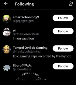 Screenshot_20250226_014128_com_twitter_android_FollowingTimelineActivity.jpg